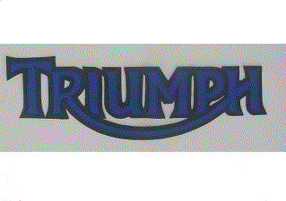 Hinckley Triumph 13" synthetic leather back patch blue/black